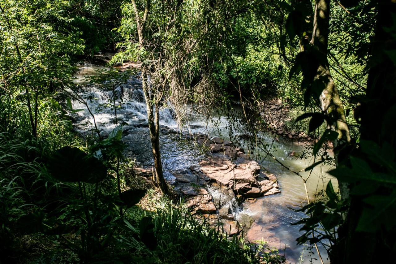 Cachoeira dos pássaros Foz do Iguaçu Exterior foto